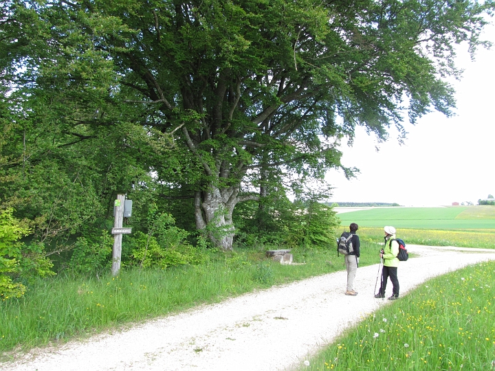 Wanderung 2014_071.jpg